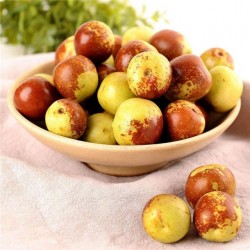 山東冬棗產(chǎn)地招商代辦 物美價廉